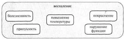 Рис 243 РЕШЕНИЕ ЗДЦАЧИ 53 расположенной на с 158 Видами антропогенного - фото 302