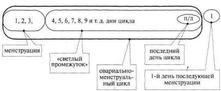 Рис 246 Поясним что менструация в норме длится 3 плюсминус 2 дня а весь - фото 305