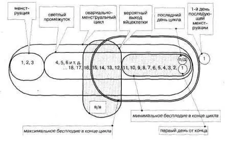Рис 249 Про бесплодие в конце цикла мы договорились минимум 11 максимум 15 - фото 307