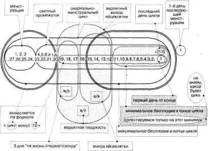 Рис 250 ло труднее но что делать Впрочем ведь ее можно скопировать и - фото 309