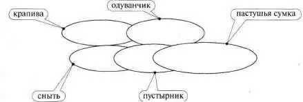 При перекрещивании рамок тоже могут возникнуть трудности в отнесении текста к - фото 60