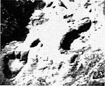 Отпечаток окаменелых следов босой человеческой ноги найденный в Туркмении - фото 36