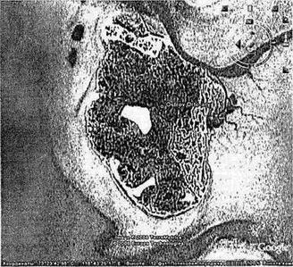 Остров ОртаАрий Со спутника рядом с островом хорошо просматривается русло - фото 38