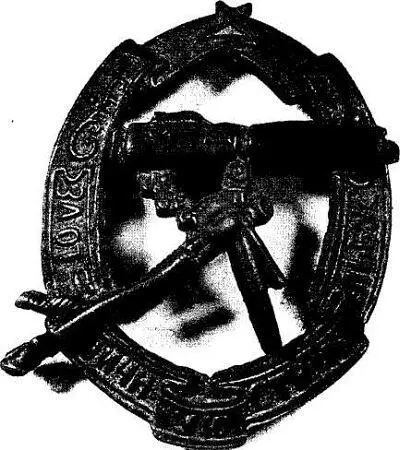 Знак За отличную стрельбу из пулемета выставлялся на аукционе - фото 57