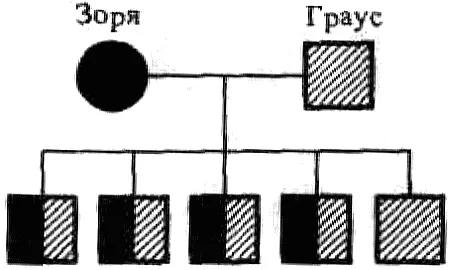 Рис 3 Родословная 2 Рис 4 Родословная 4 Рис 5 Родословная 9 - фото 13