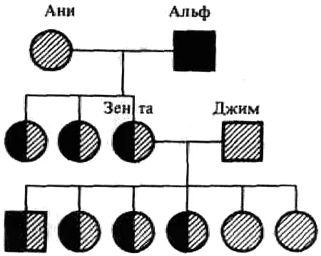 Рис 4 Родословная 4 Рис 5 Родословная 9 Рис 6 Родословная 3 - фото 14