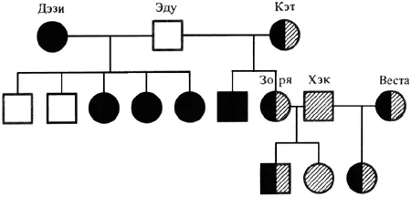 Рис 7 Родословная 7 Рис 8 Родословная 8 справа В качестве - фото 17