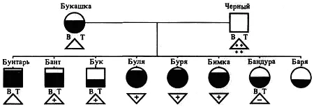 Рис 2 Семейство 2 Рис 3 Семейство 3 Семейство 3 рис 3 У всех - фото 37