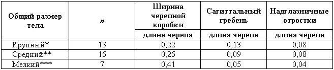 Леонбергер сенбернар доги меделянская собака борзые кавказская овчарка - фото 55