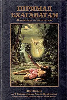 Свами Бхактиведанта А.Ч. - Шримад Бхагаватам. Песнь 5. Творческий импульс. Часть 1