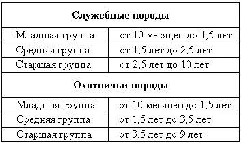 Для определения качества экстерьера существуют оценки отлично очень хорошо - фото 69