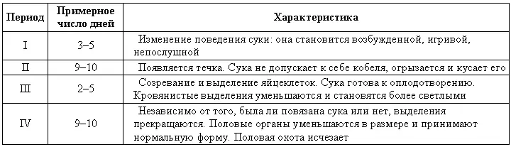 Вязку сук производят примерно через 1113 дней после появления течки Через - фото 70
