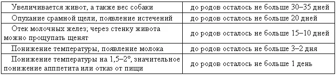 Содержание сук в первую половину идейности мало чем отличается от обычного Их - фото 71