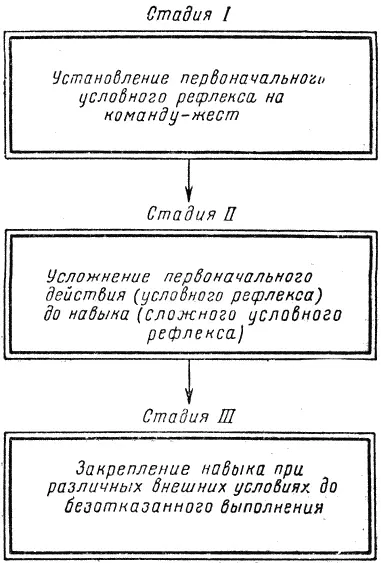 Рис 101 Схема порядка отработки приема дрессировки Первая стадия состоит в - фото 107