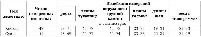 Такой же изменчивости подвержены и все остальные признаки собаки Улучшение - фото 211