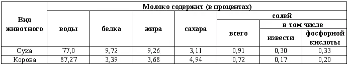 При подборе кормилицы очень важно чтобы она ощенилась в одно время с данной - фото 216