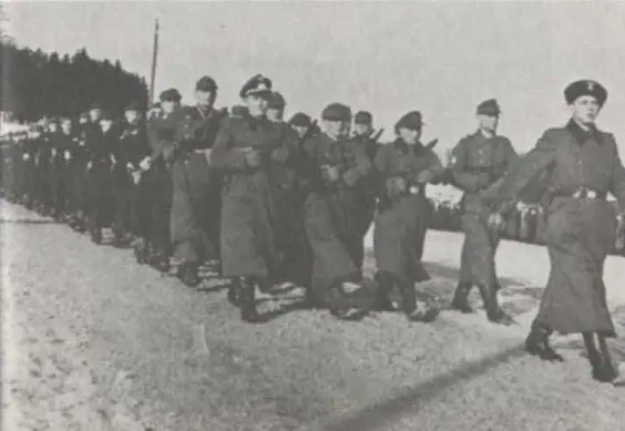 Мюнсинген 10го февраля 1945 г смотр 1й дивизии - фото 28
