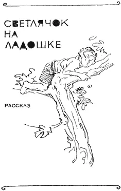 Художник О Коровин Лев Кузьмин СВЕТЛЯЧОК НА ЛАДОШКЕ В детстве меня часто и - фото 1