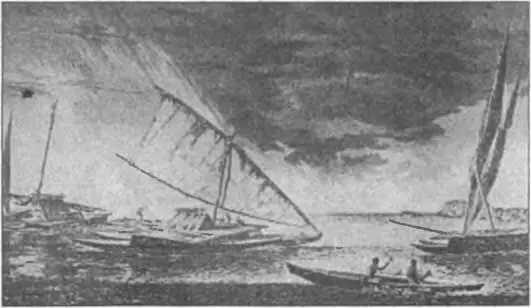 Полинезийские двухкорпусные лодки Острова Тонга 1774 г Скорость судов - фото 69