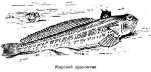 Через несколько дней после этого я познакомилась с рыбаком приходившим на - фото 59