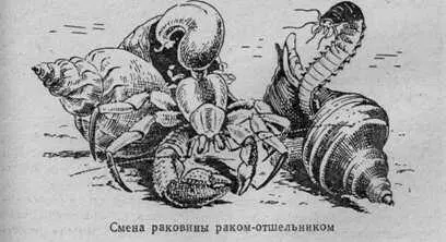 Наступил вечер Дождевые струйки стекали по оконным стеклам временами налетали - фото 12