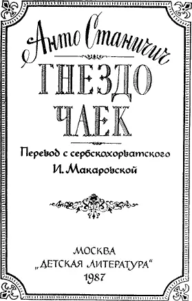 Анто Станичич Гнездо чаек Тревога Все началось около полуночи Сильный - фото 4