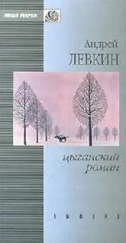 Андрей Левкин - Цыганский роман (повести и рассказы)