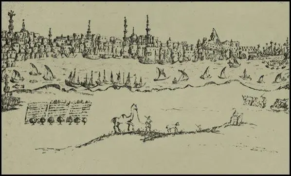 Панорама Каира Рисунок В ГригоровичаБарского 1727 г Ценным дополнением к - фото 80