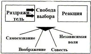 Проактивная модель Хотя термин проактивность довольно широко распространен - фото 9