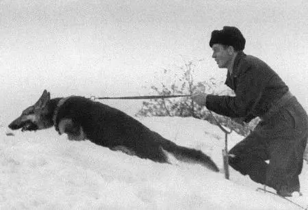 Не скрыть следов и в глубоком сугробе В схватке один на один у диверсанта нет - фото 17