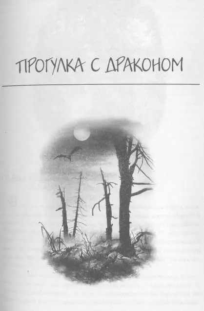 Прогулка с драконом Посвящается моим племянникам и племянницам с любовью и - фото 42