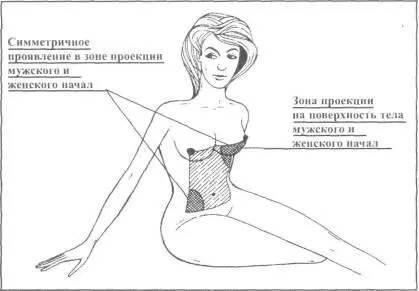 Рис 3 Зона проекции мужского и женского половых начал Выявив в себе начала - фото 8