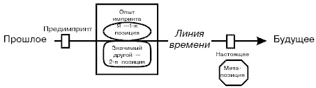 3 Определите значимых других участвующих в процессе импринтинга Некоторые - фото 40