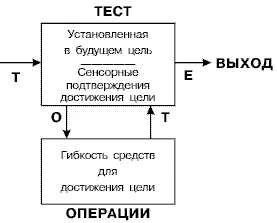 Модель ТОТЕ Ясно что гений и искусство Леонардо как художника и изобретателя - фото 53