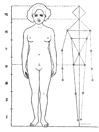 Рис 5 Размеры метаморфной расы Девушка из Самоа Пример Девушка из Самоа - фото 5