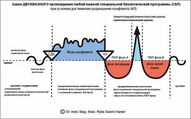 Активная фаза конфликта КАфаза симпатикотония В тот момент когда в - фото 11
