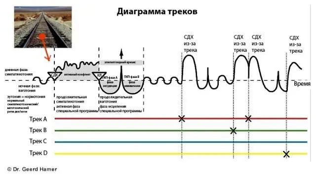 СБП разворачивается в результате действия треков образовавшихся в момент СДХ - фото 17