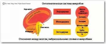 Что касается вирусов в ННМ мы предпочитаем говорить о предположительно - фото 48