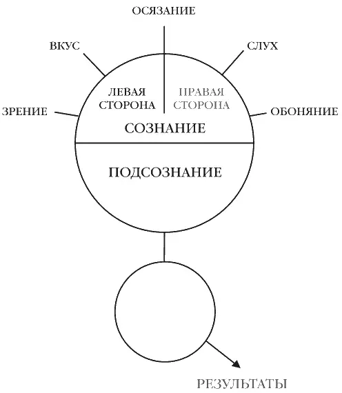 Сознание может принять или отклонить любую идею Никто и ничто не может - фото 2