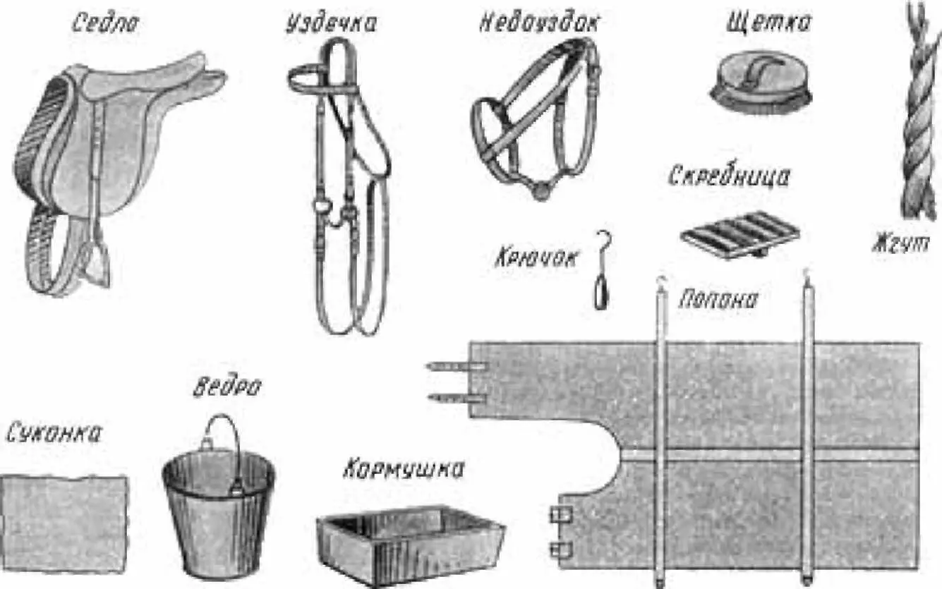 Рис 3 Предметы ухода и снаряжения Прежде чем начинать ездить верхом надо - фото 3