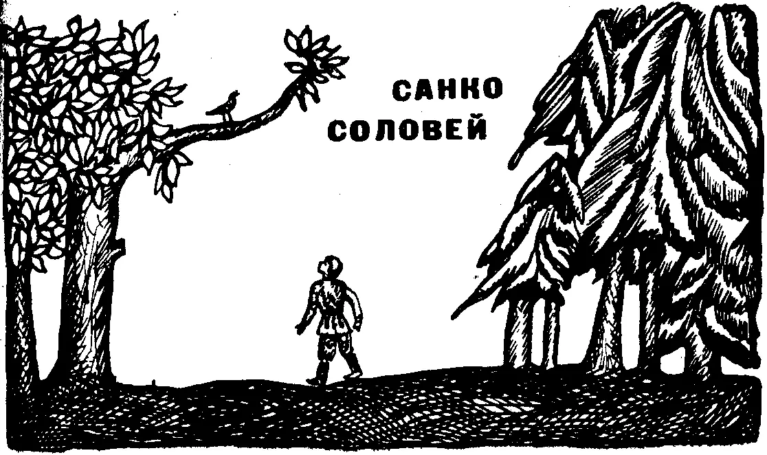 Про тюбукских шорников да про воскресенских ходоков в старину много разных - фото 14
