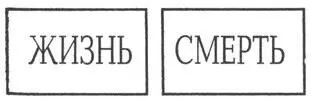 Он повернулся к узникам в его темных глазах горела злоба Один из вас вынет - фото 17