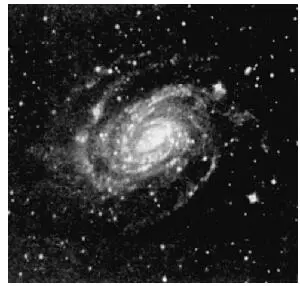 Рис 27 Галактика NGC 6384 типа Sb Рис 28 Галактика NGC 628 типа Sc - фото 26