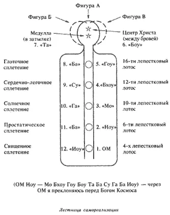 С введением четвертого раздела техники голова превращается в магнит Этот - фото 2