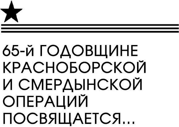 Каждый раз проезжая мимо Красного Бора по Никольской дороге я с - фото 1