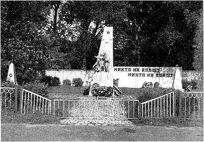 Памятник советским партизанам в Локте Партизанка отряда За Родину - фото 17
