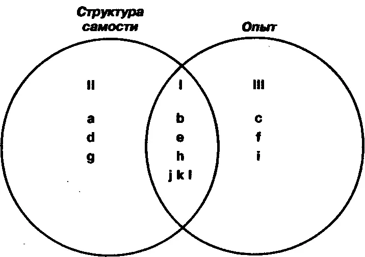 Опыт Данный круг представляет поле непосредственного сенсорного и внутреннего - фото 1