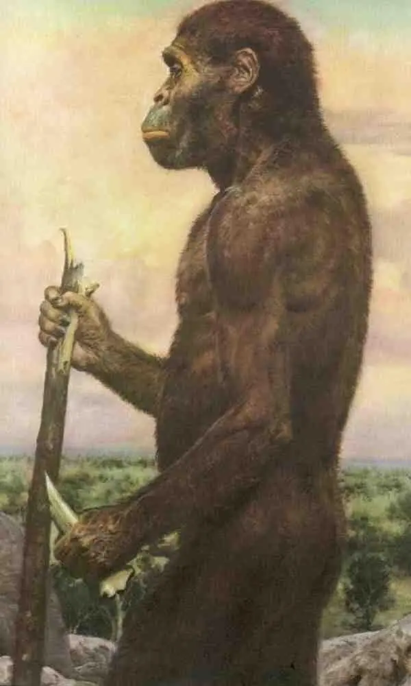 Australopithecus africanus Большинство ученых сочли нужным усомниться - фото 18
