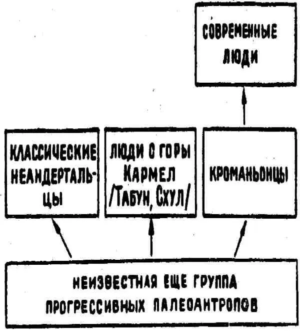 Неандертальцы Шапелль и люди с горы Кармел скорее всего только боковые ветви - фото 27