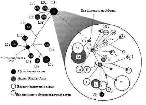 Рис 14 Если предки европейцев действительно были потомками неких аборигенных - фото 11
